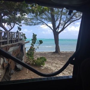 Meet your Posher, Brandy